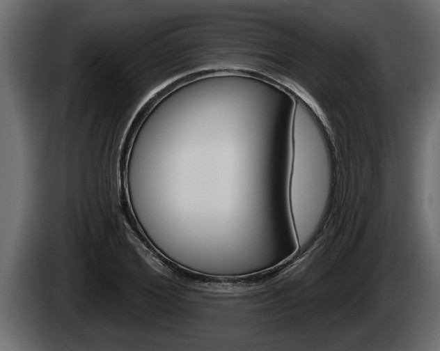 X0000085080980200703051105