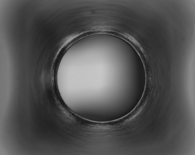 X0000085080981200703051105