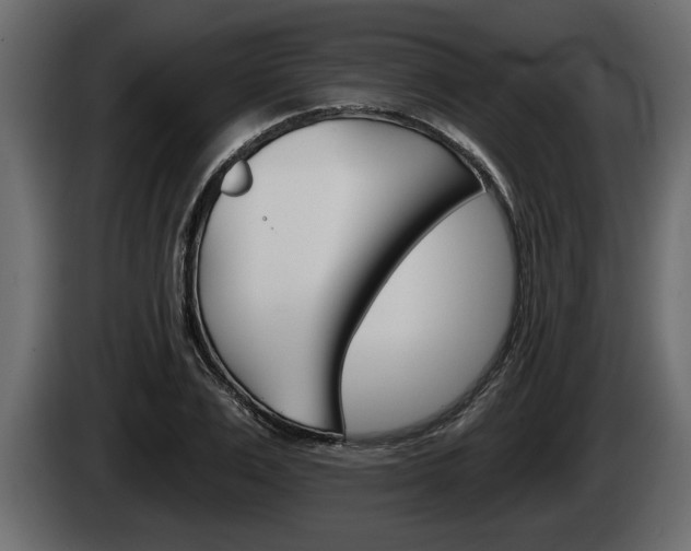 X0000085080983200703051105