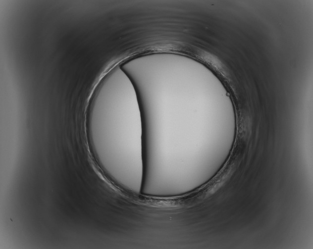 X0000085080986200703051105