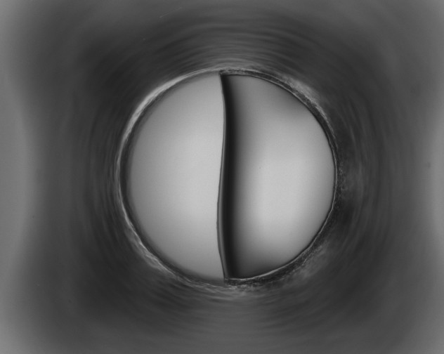 X0000085080987200703051105