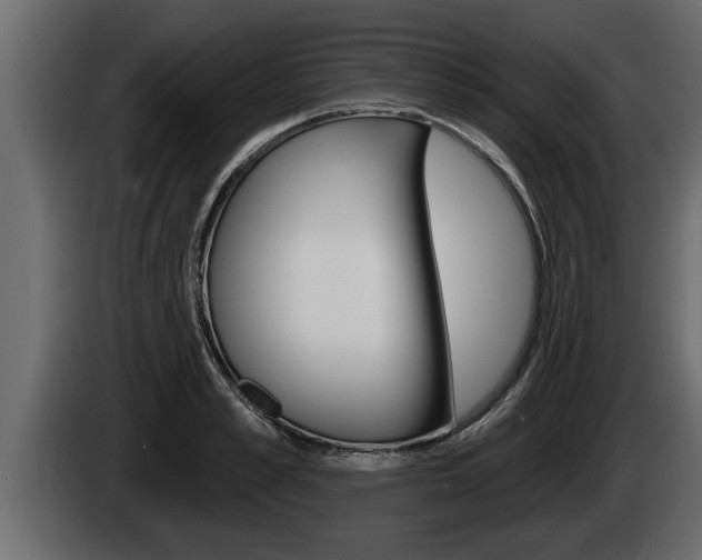 X0000085080989200703051105
