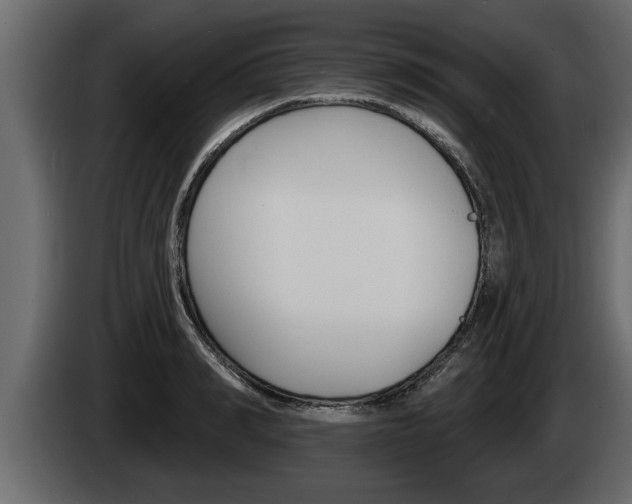 X0000085080990200703051105
