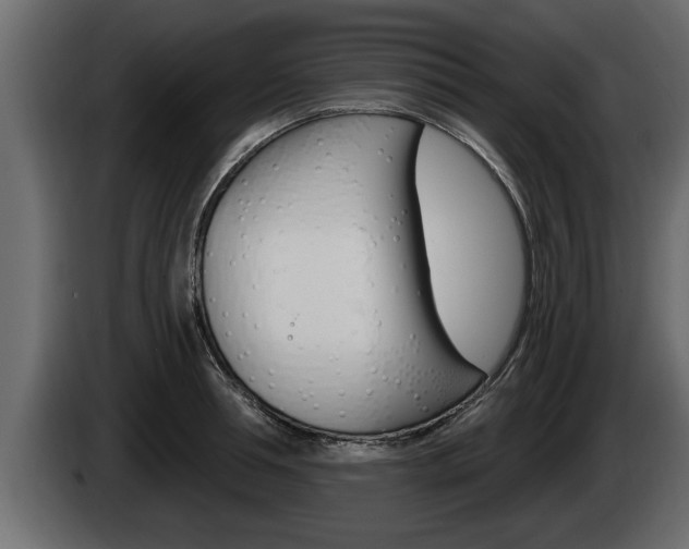 X0000085080994200703051105