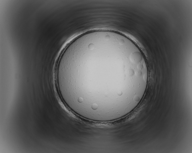 X0000085080998200703051105