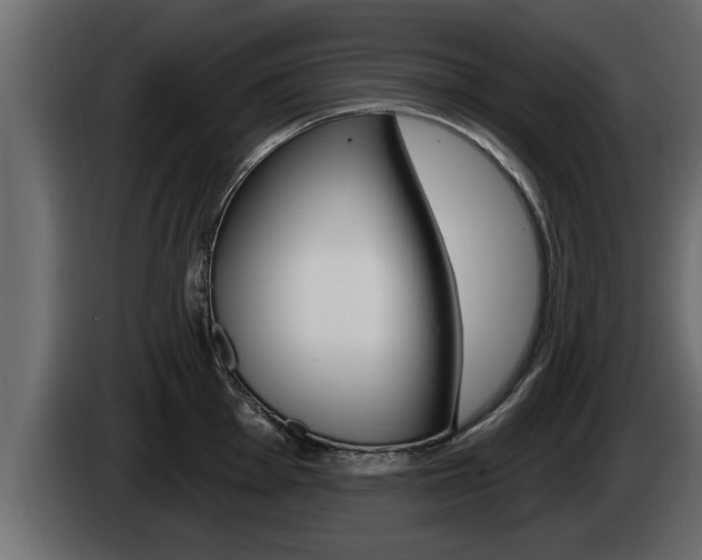 X0000085081001200703051105