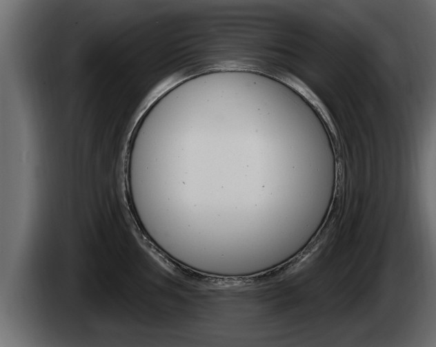 X0000085081002200703051105