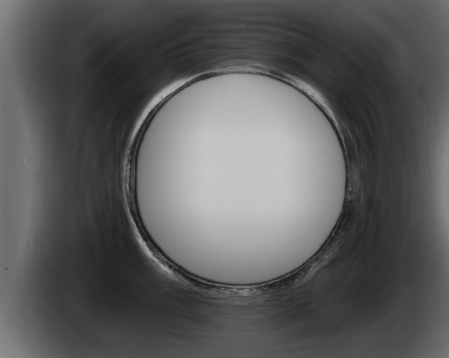 X0000085081003200703051105