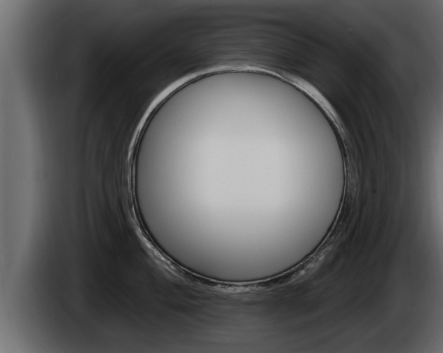 X0000085081004200703051105