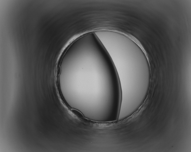 X0000085081005200703051105