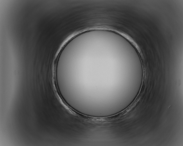 X0000085081006200703051104