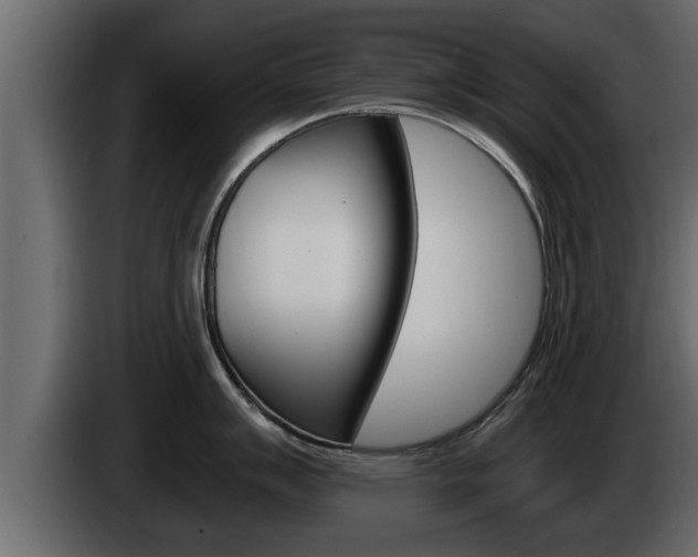 X0000085081007200703051104