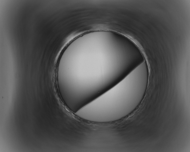 X0000085081008200703051104