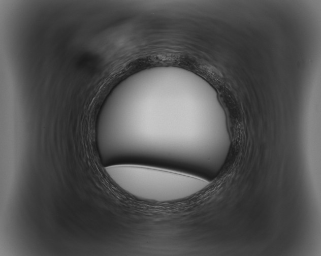 X0000085081009200703051104
