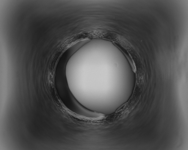 X0000085081010200703051104