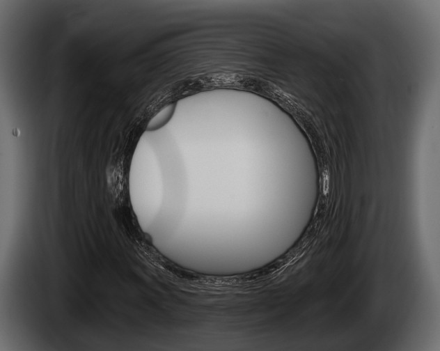 X0000085081011200703051104