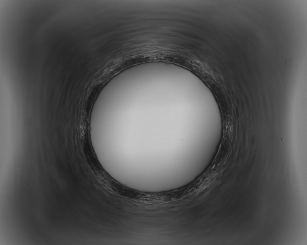 X0000085081012200703051104