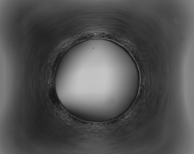 X0000085081014200703051104