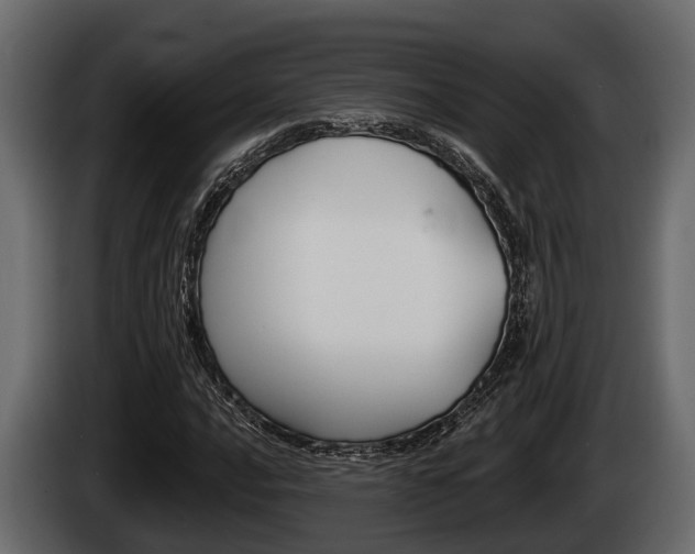X0000085081016200703051104