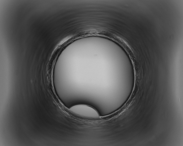 X0000085081018200703051104