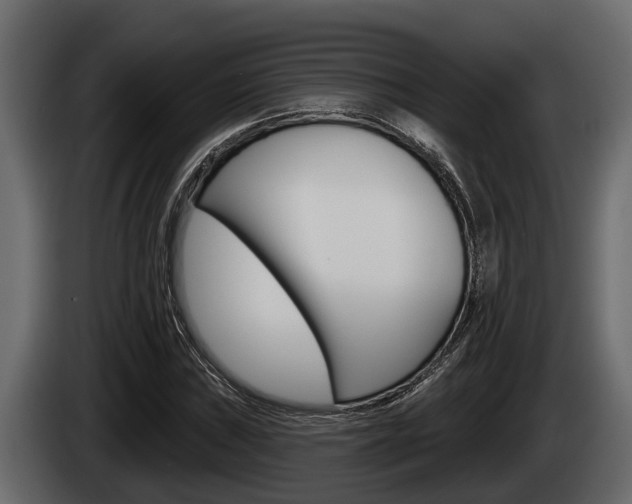 X0000085081019200703051104