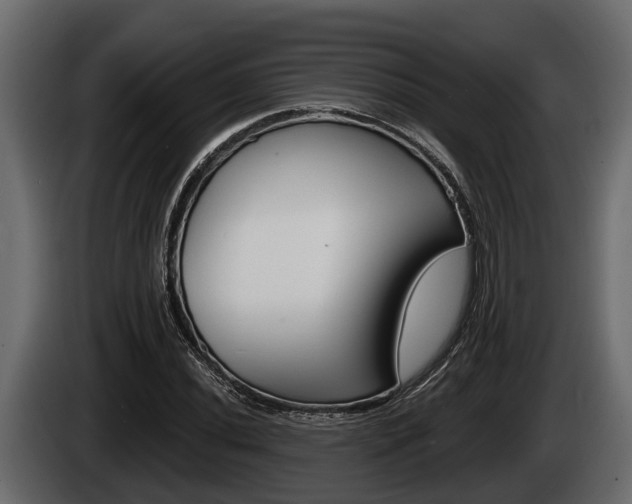 X0000085081020200703051104