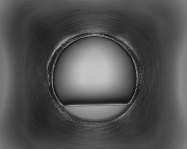 X0000085081022200703051104