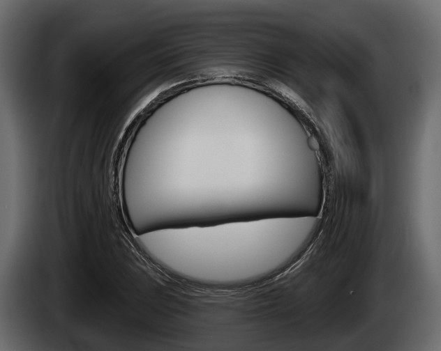 X0000085081023200703051104