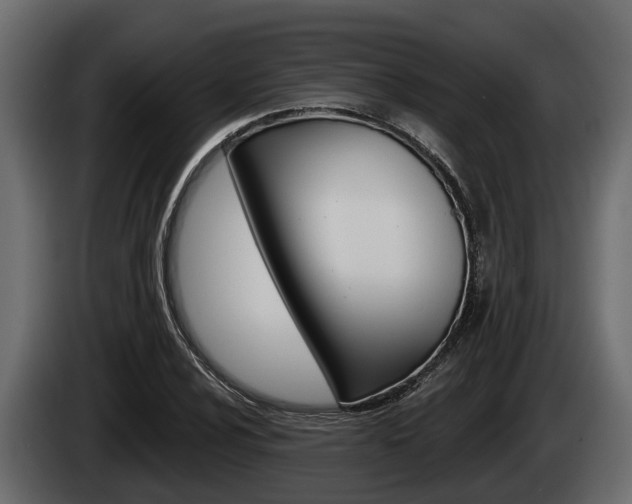 X0000085081024200703051104