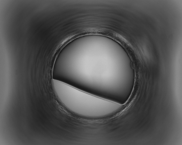 X0000085081025200703051104
