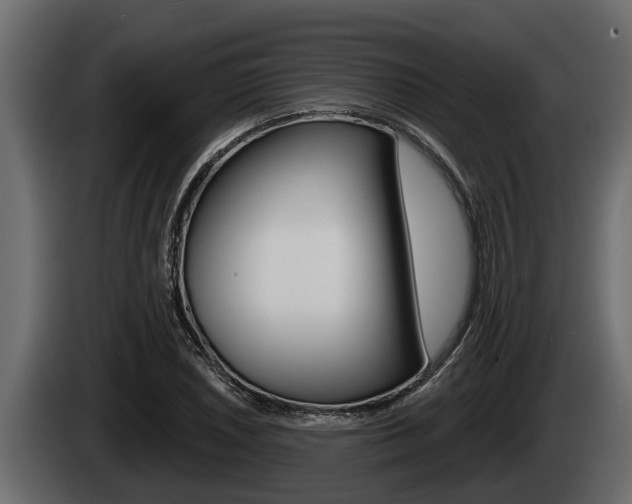 X0000085081026200703051104