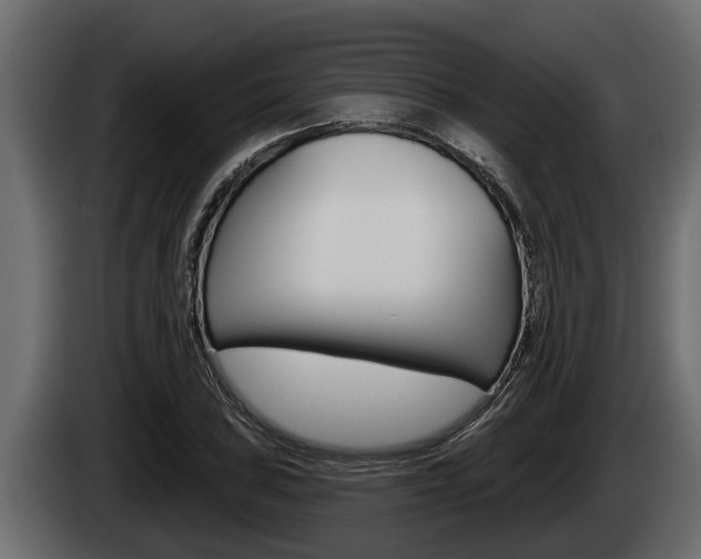 X0000085081027200703051104