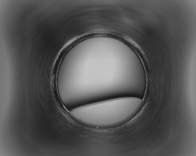X0000085081029200703051104