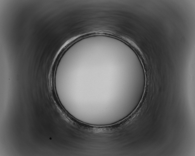 X0000085081032200703051104