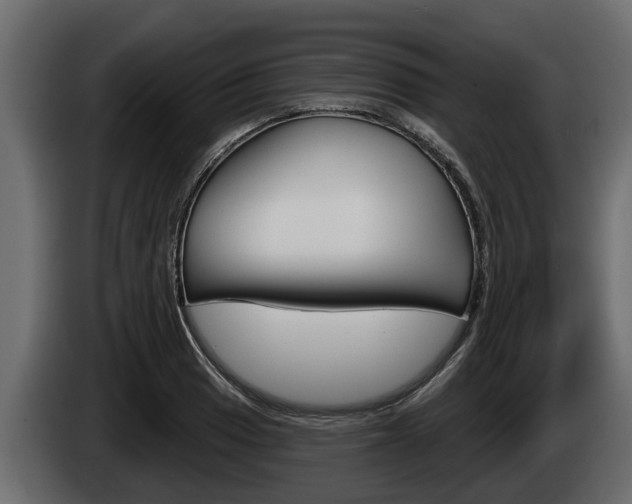 X0000085081033200703051104