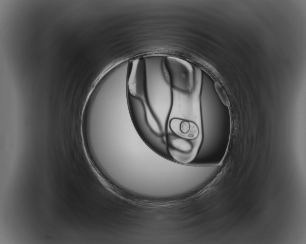 X0000085081034200703051104