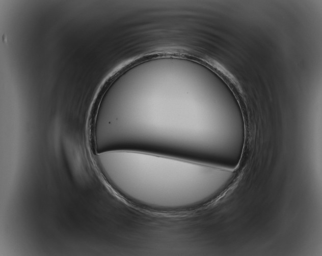 X0000085081037200703051104