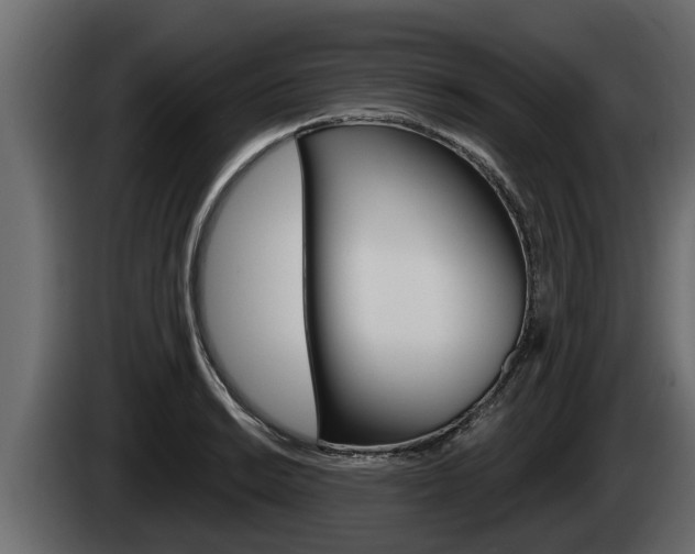 X0000085081038200703051104