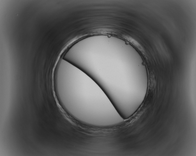 X0000085081039200703051104