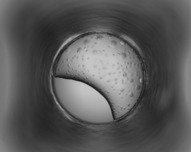 X0000085081040200703051104