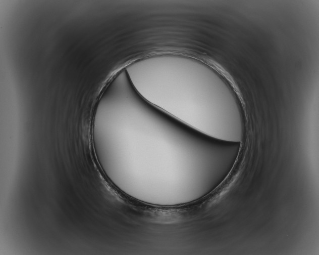 X0000085081041200703051104