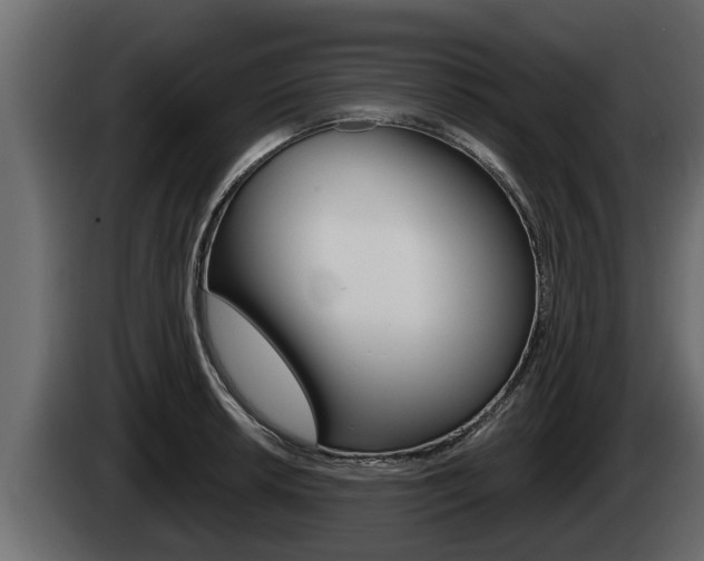 X0000085081042200703051104