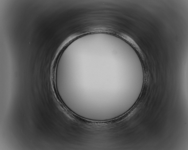 X0000085081043200703051104