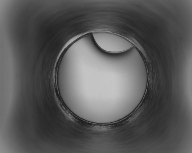 X0000085081044200703051104