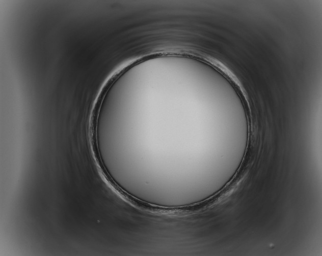 X0000085081045200703051104