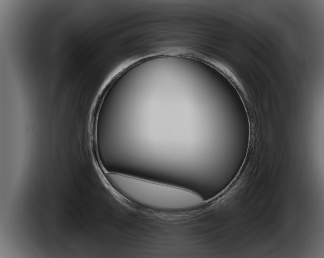 X0000085081046200703051104