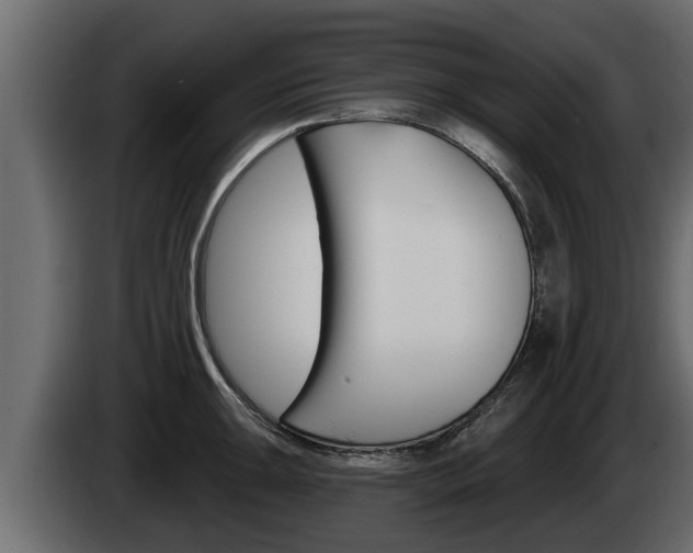 X0000085081047200703051104