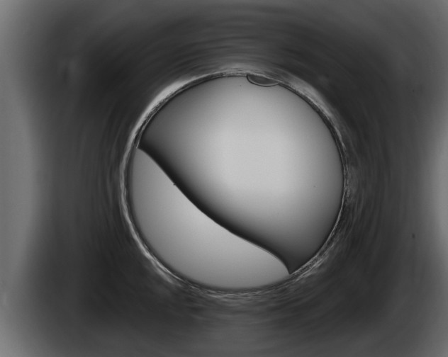 X0000085081048200703051104