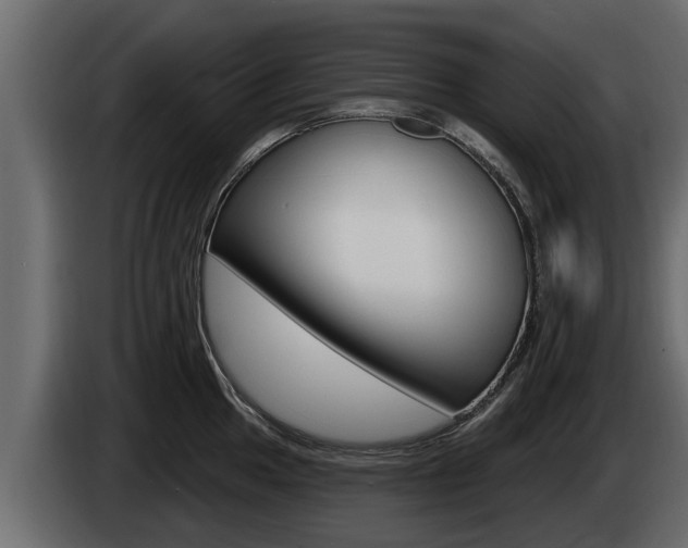 X0000085081049200703051104