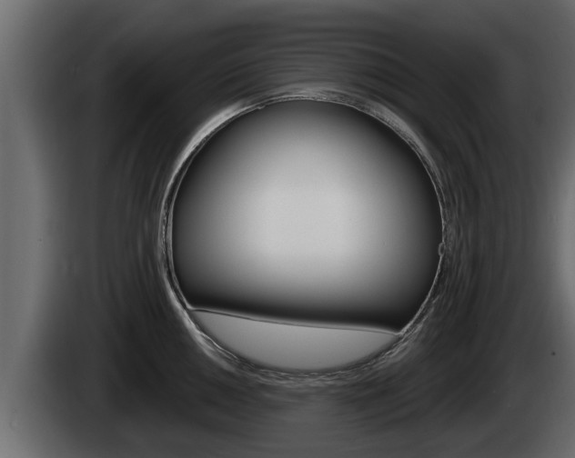 X0000085081050200703051104